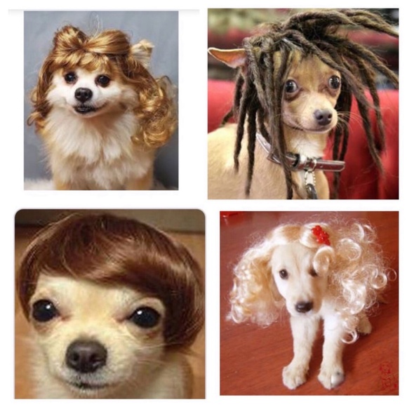 ❌ 11/19 WICKED WEDNESDAY VINTAGE FASHION SHARE GROUP - Picture 5 of 16